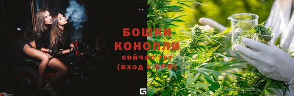 PSILOCYBIN Балабаново