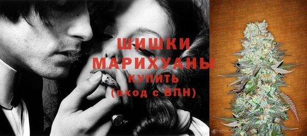 ГАЛЛЮЦИНОГЕННЫЕ ГРИБЫ Балахна