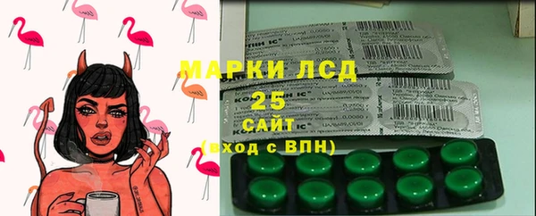 ГАЛЛЮЦИНОГЕННЫЕ ГРИБЫ Балахна