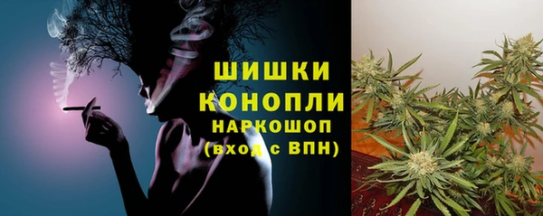 ГАЛЛЮЦИНОГЕННЫЕ ГРИБЫ Балахна